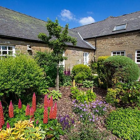 Home Farm B&B - Sunflower Room Forfar Eksteriør billede