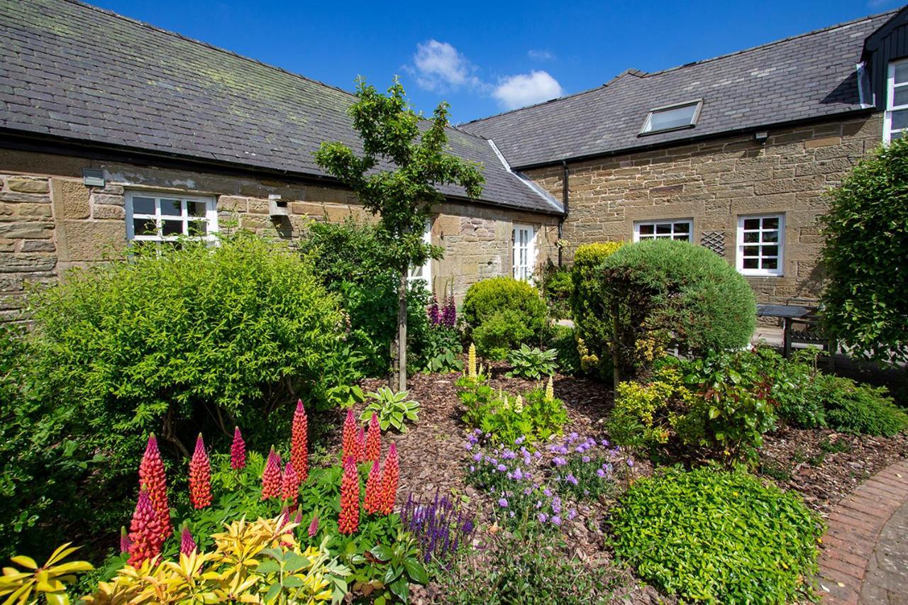 Home Farm B&B - Sunflower Room Forfar Eksteriør billede