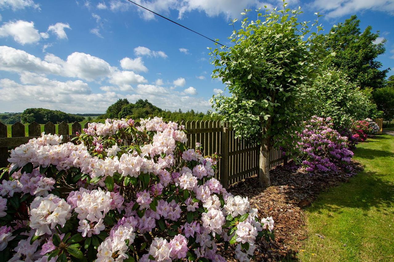 Home Farm B&B - Sunflower Room Forfar Eksteriør billede